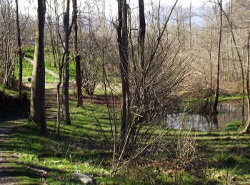 Excursión A pie Romano Canavese - Alta Via dell’Anfiteatro Morenico di Ivrea - Itinerario di Collegamento di Romano Canavese - Photo