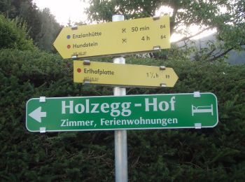 Randonnée A pied Zell am See - Grafleiten-Tour - Photo