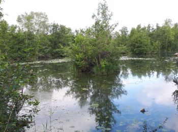 Trail Walking Mareuil-Caubert - Au travers des étangs  - Photo