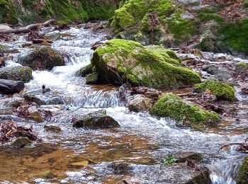 Randonnée Marche Saint-Alban-les-Eaux - Les Gorges du désert à St Alban-les-Eaux - Photo