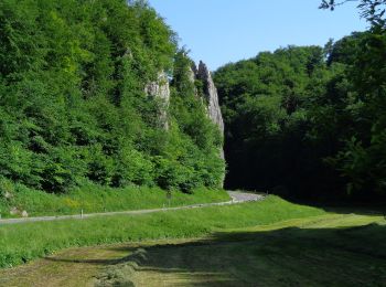 Randonnée A pied Bad Urach - DE-Gelbe Nebenlinie - Photo