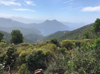 Tour Wandern Osani - Girolata - Bocca di fuata - Photo