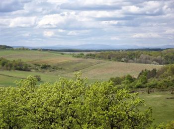 Randonnée A pied Aggtelek - Zöldhatár tanösvény (Aggtelek-Domica) - Photo