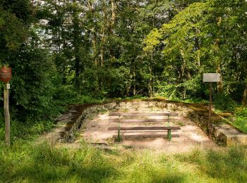 Tour Zu Fuß Frei-Laubersheim - Rundwanderweg Frei-Laubersheim 20 - Photo