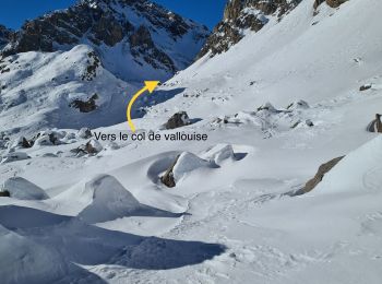 Percorso Sci alpinismo Puy-Saint-André - rocher bouchard pente nord est  de crête de bressiere - Photo