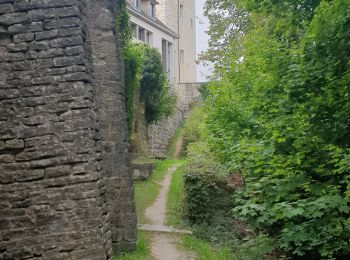 Excursión Ruta Chaumont - au pied des remparts  - Photo