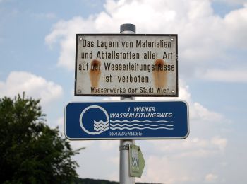 Percorso A piedi Gemeinde Baden - Weingartenweg - Photo