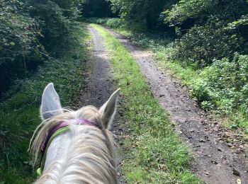 Trail Horseback riding Saint-Martin - Petit tour autour de la maison Vispa  - Photo