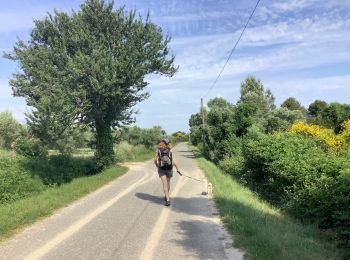 Tocht Stappen Mouriès - Caisses Jeanjean golf Servanes (boucle) - Photo