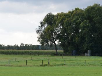 Percorso A piedi Raalte - WNW Salland - Broekland/Wesepe - oranje route - Photo