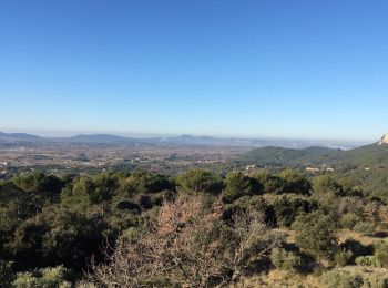 Excursión Senderismo Mérindol - PF-Mérindol - Les Drailles Mérindolaises 2019 - 3ème édition  - Photo