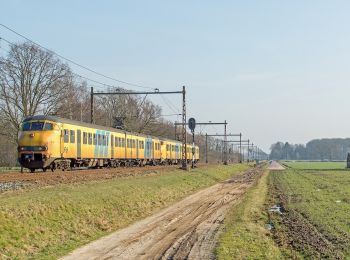 Trail On foot Almelo - WNW Twente - Tusveld - oranje route - Photo