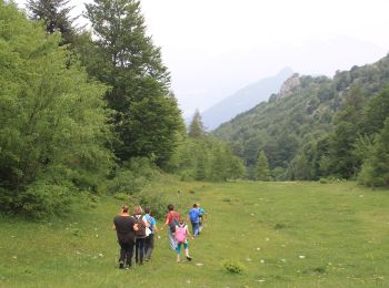 Percorso A piedi Esino Lario - Cainallo - Rifugio Bietti - Photo