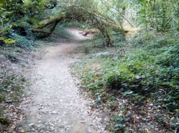 Trail Walking Caurel - Guerledan - Photo