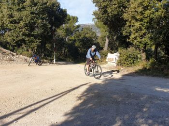 Trail Mountain bike Riboux - Riboux le Latay - Photo