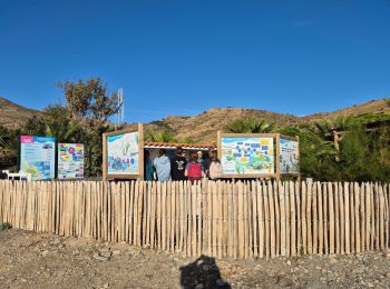 Excursión Senderismo Cerbère - Cerbère Pyrénées Orientales - Photo