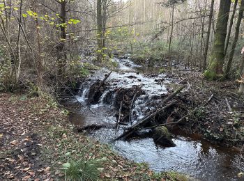 Percorso Marcia Trois-Ponts - Wanne 22,8 km - Photo