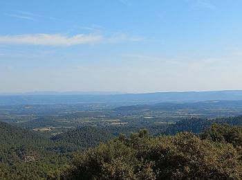 Trail Walking Peypin-d'Aigues - Fontjoyeuse - Photo