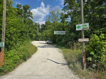 Excursión Senderismo Seine-Port - Seine-Port - Forêt de Bréviande - Photo