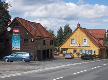 Randonnée A pied Harz (Landkreis Göttingen) - Morgenbrodtsthaler Graben - Photo