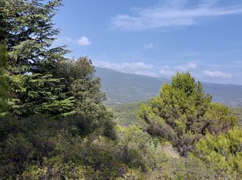 Tocht Stappen Crillon-le-Brave - Torrent Pied Blanc / Rocher de la Madeleine - Photo