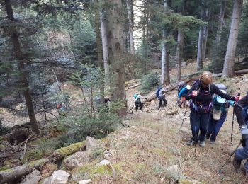 Trail Walking Clans - Sommet de Negossi par Clans - Photo