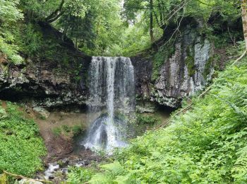 Trail Walking Laqueuille - 2021-06-28 cascade du trador - Photo