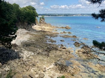 Tour Wandern Fouesnant - Du Cap Coz à Beg Meil  - Photo