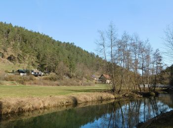 Randonnée A pied Waischenfeld - Waischenfeld Rundwanderweg grüner Ring - Photo