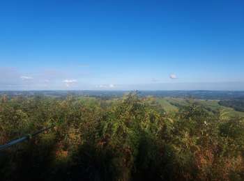 Randonnée Marche Itxassou - Itxassou LAXIA  G3 2025 - Photo