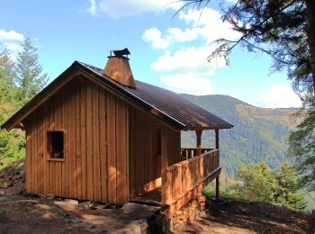 Tour Wandern Urbis - Rouge Gazon,lac des Perches depuis URBEZ - Photo