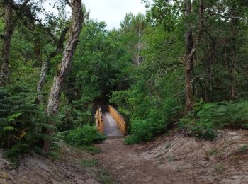 Trail Walking Vielle-Saint-Girons - jour 8 du 02/07/23 - Photo
