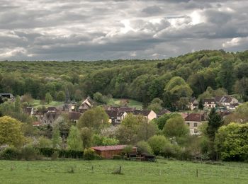 Tocht Stappen La Madeleine-Bouvet - Les belles vues de Saint-Laumer et de la Madeleine 11 Km - Photo