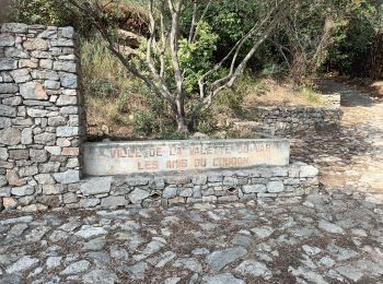 Tour Wandern La Valette-du-Var - Conservatoire de l'olivier-07-10-22  - Photo