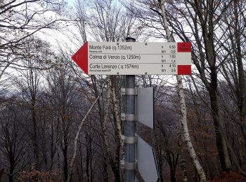 Excursión A pie Mergozzo - A54 - Bracchio - Cappella di Erfo - Monte Faiè - Photo