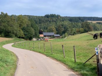 Tour Wandern Préizerdaul - Bettborn  - Photo