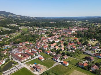 Tour Zu Fuß Pöllau - Wanderweg 3 - Photo