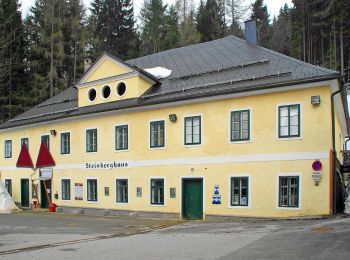 Tour Zu Fuß Altaussee - Via Salis - Photo