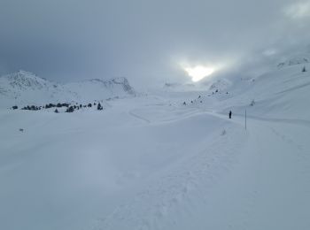 Trail Snowshoes La Plagne-Tarentaise - La Plagne Village, Plan Leychoum - Photo