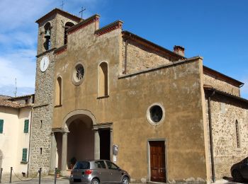 Randonnée A pied Greve in Chianti - IT-30 - Photo