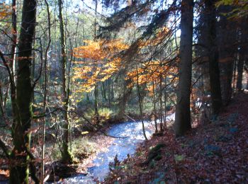 Tour Wandern Manhay - RB-Lu-32_Malempré_Boucle-2 - Photo