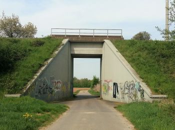 Tour Zu Fuß Reinheim - Ortsrundwanderweg Zeilhard 1 - Photo