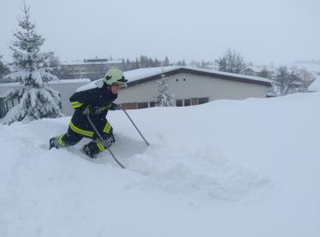 Randonnée A pied Bad Leonfelden - Steinwaldrunde - Photo