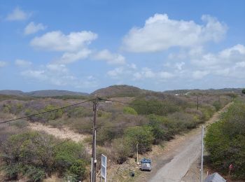 Tour Wandern Sainte-Anne - ronde du cap chevalier  - Photo