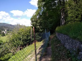 Trail Walking Oberbruck - Oberbruck Lagerwald - Photo