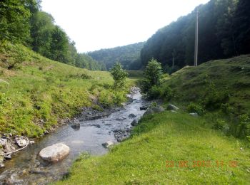 Randonnée A pied Inconnu - Bărbătești - Valea Otăsăului - Valea Bulzului - Vârful Țucla - Curmătura Builei - Photo
