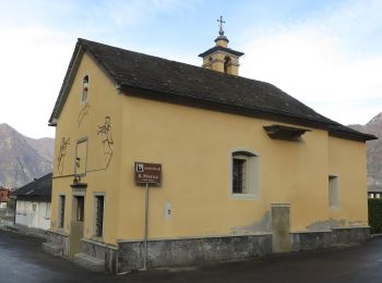 Tour Zu Fuß Pieve Vergonte - A41 - Rumianca - Alpe Pian Lago bivio B97 - Photo