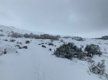 Trail Walking Murol - Le tour de Beaune le froid  - Photo