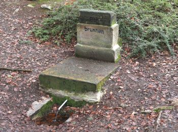 Tocht Te voet Lichtenfels - Hochstadter Südweg - Photo