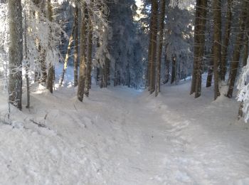 Percorso Racchette da neve Valserhône - col de Cuvery - Photo